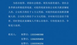 河津最新爆料消息新闻,揭秘重大新闻事件背后真相